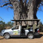 Muzi Safari Tours | Hazyview Mpumalanga