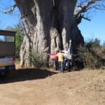 Muzi Safari Tours | Hazyview Mpumalanga