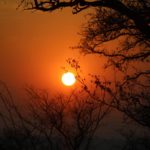 Muzi Safari Tours | Hazyview Mpumalanga