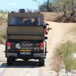 Muzi Safari Tours | Hazyview Mpumalanga