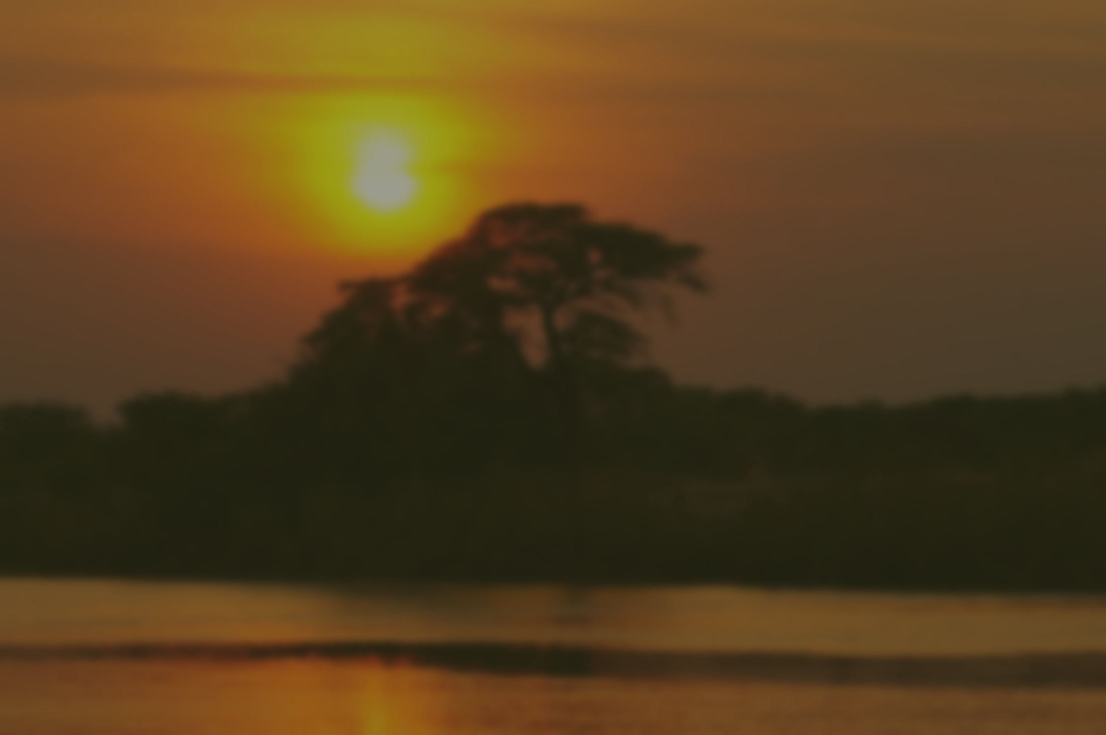 Muzi Safari Tours | Hazyview Mpumalanga